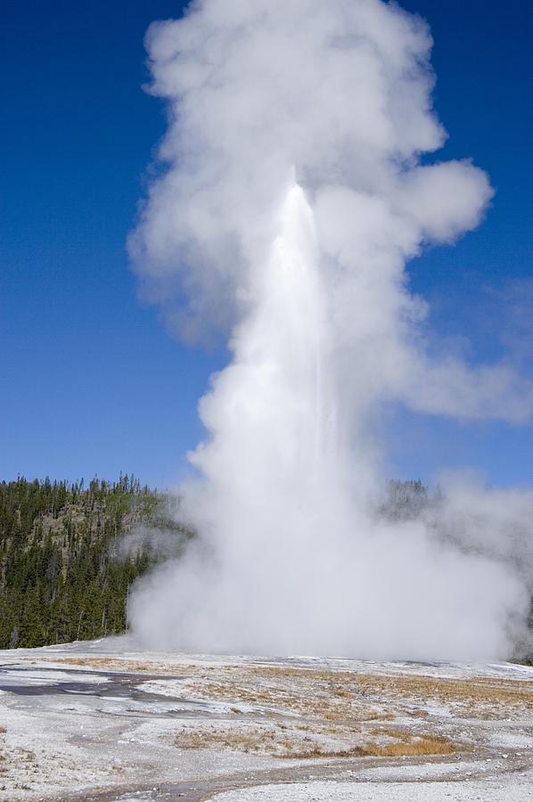 Old Faithful Geyser Yellowstone Photograph by Everett