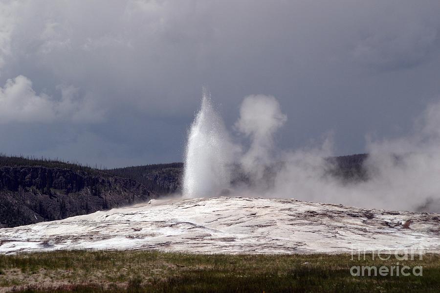 Old Faithful Letting Off Some Steam Photograph by Living Color Photography Lorraine Lynch