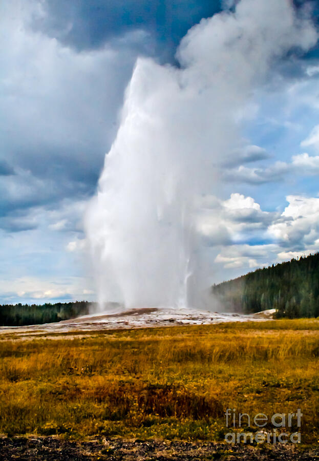Old Faithful Photograph by Robert Bales
