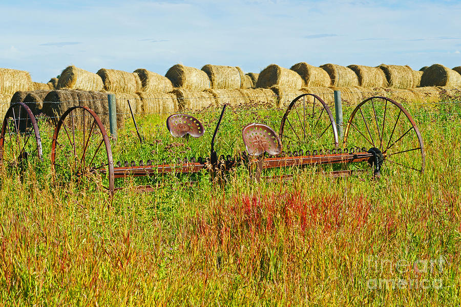 old-farm-equipment-photograph-by-randy-harris-pixels