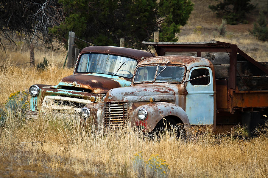 Old Farm Trucks Photograph by Steve McKinzie