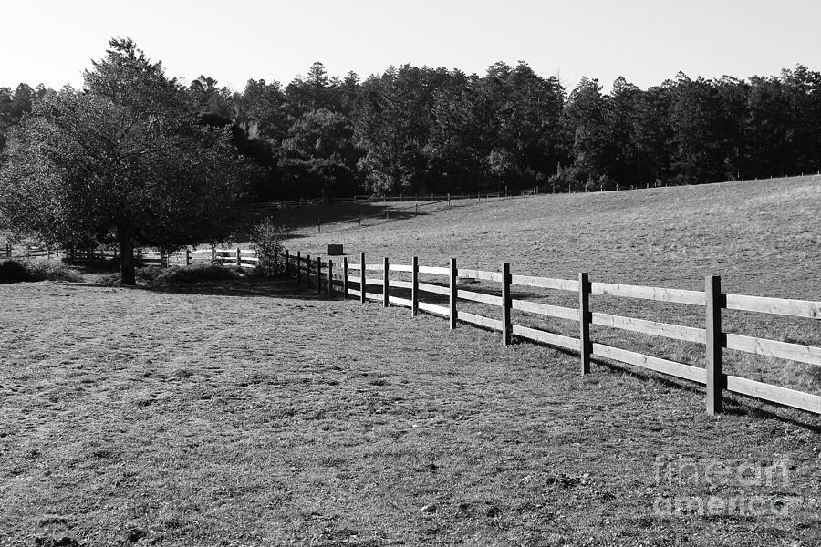 Old Fence And Landscape At Point Reyes California . 7D9812 . Black and White Photograph by Wingsdomain Art and Photography