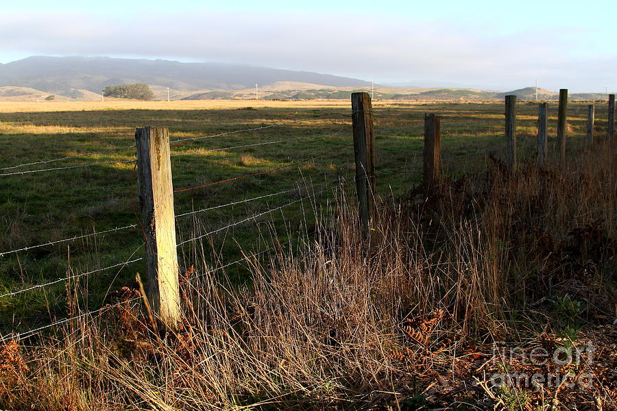 Old Fence And Landscape At Point Reyes California . 7D9968 Photograph by Wingsdomain Art and Photography
