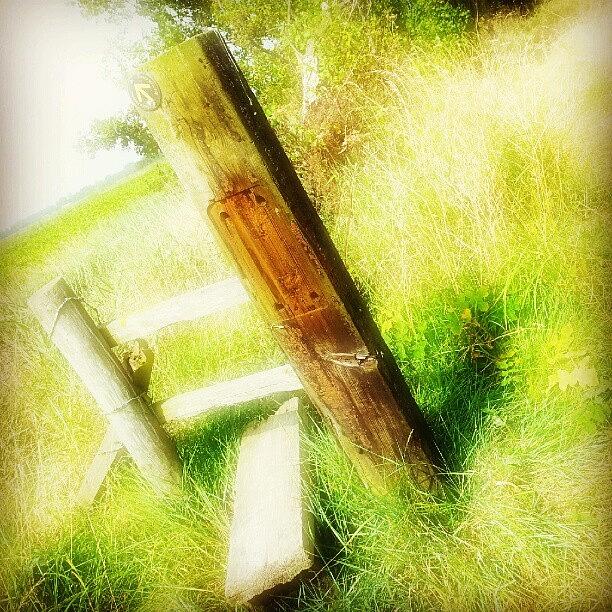Summer Photograph - Old Field Gate #gate #feild #wood by Invisible Man
