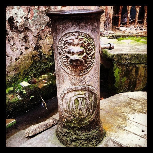 Lion Photograph - Old Fire Hydrant In Bhawanipore by Arnab Mukherjee