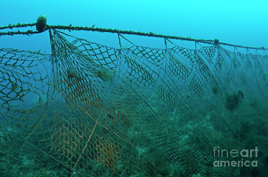 Old fishing net lost on ocean floor Photograph by Sami Sarkis - Pixels
