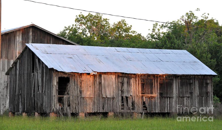 Old Florida Barn Photograph by John Black