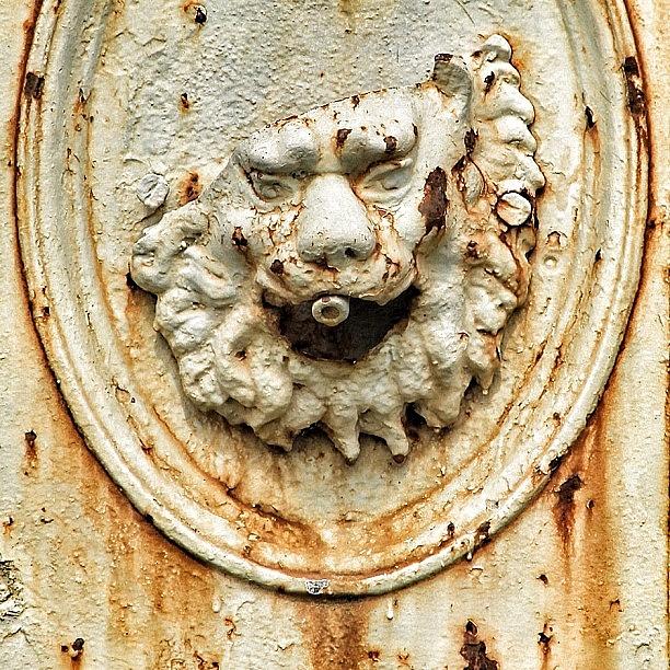 Old Fountain Lion At Temple Newsam Photograph by Carl Milner