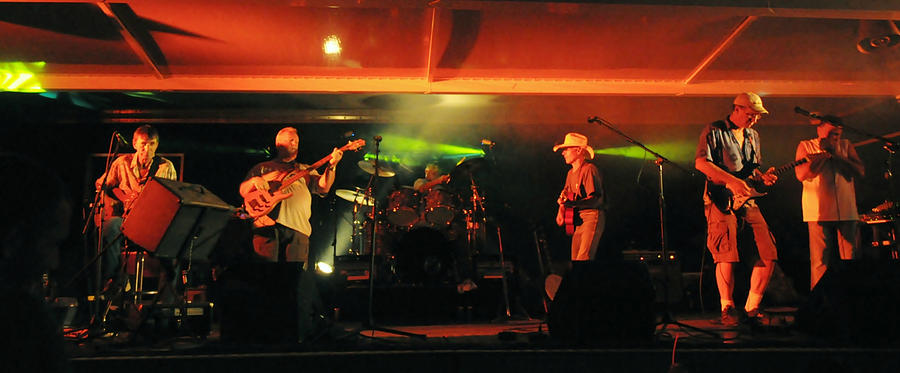 Live Music Photograph - Old Friends Band Reunion by Mary Frances