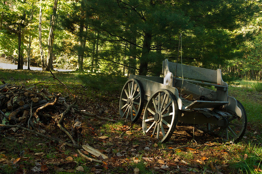 Old Frontier Wagon 1 Photograph by Douglas Barnett