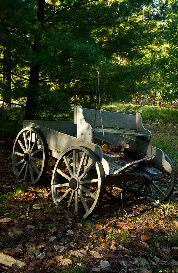Old Frontier Wagon 2 Photograph by Douglas Barnett