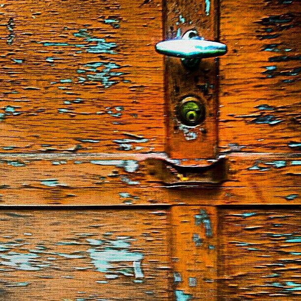 Old Garage Door Photograph by Elisa Franzetta