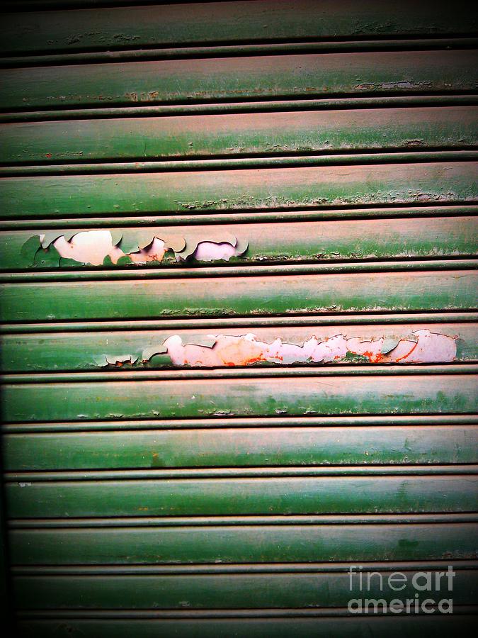 Old Garage Door Photograph by Eena Bo
