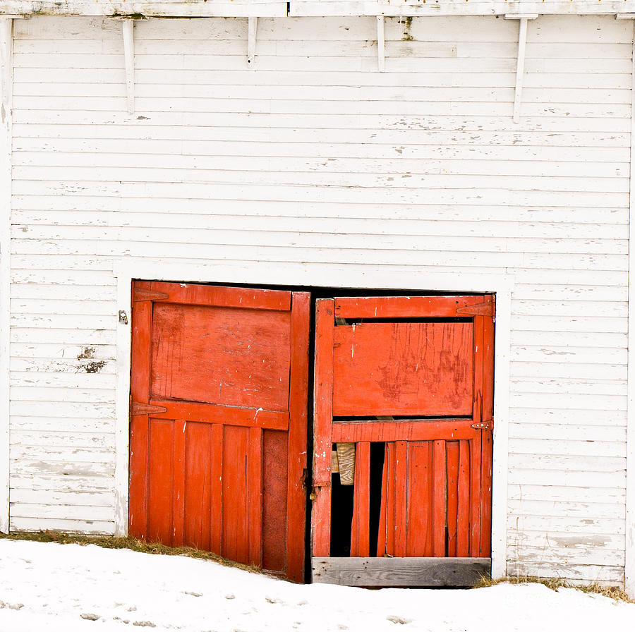 Old Garage Doors Photograph by Edward Fielding
