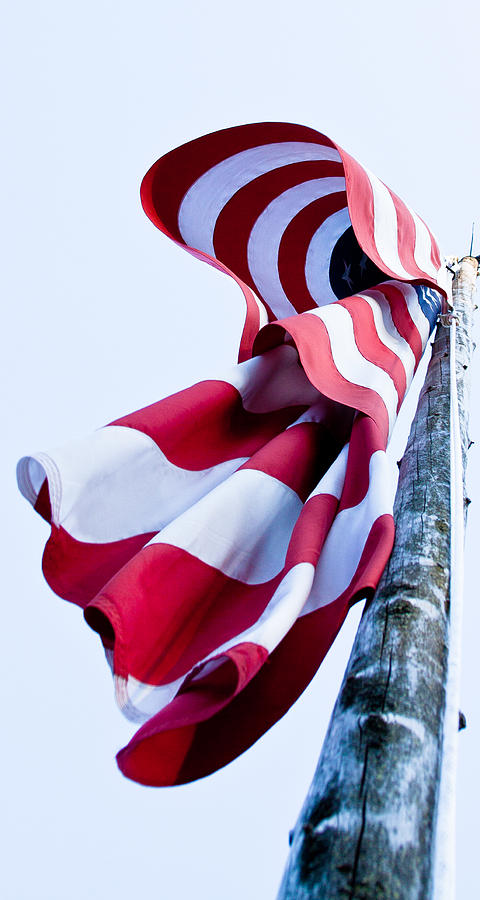 Old Glory Photograph by David Patterson