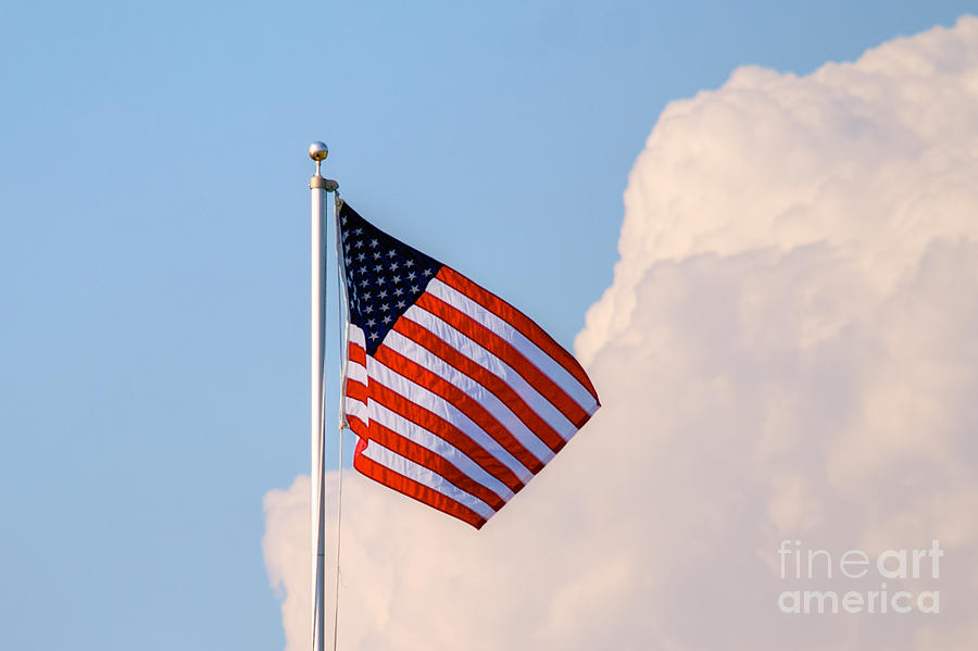 Old Glory Photograph by Mark Dodd
