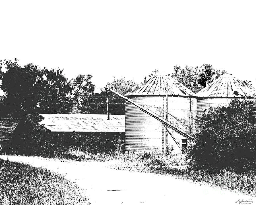 Old Hwy 61 Levee Farm Photograph by Lizi Beard-Ward