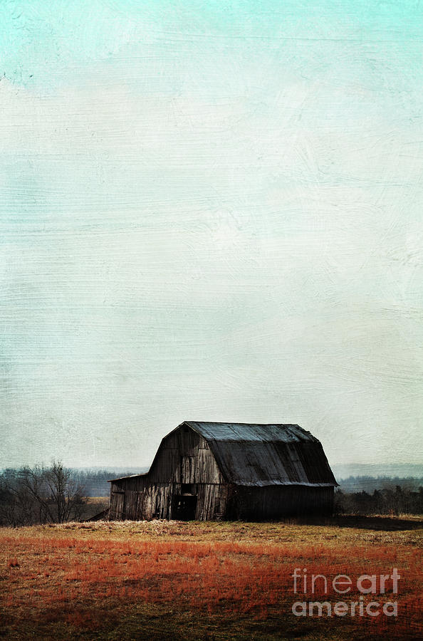 Nature Photograph - Old Kentucky Tobacco Barn by Stephanie Frey