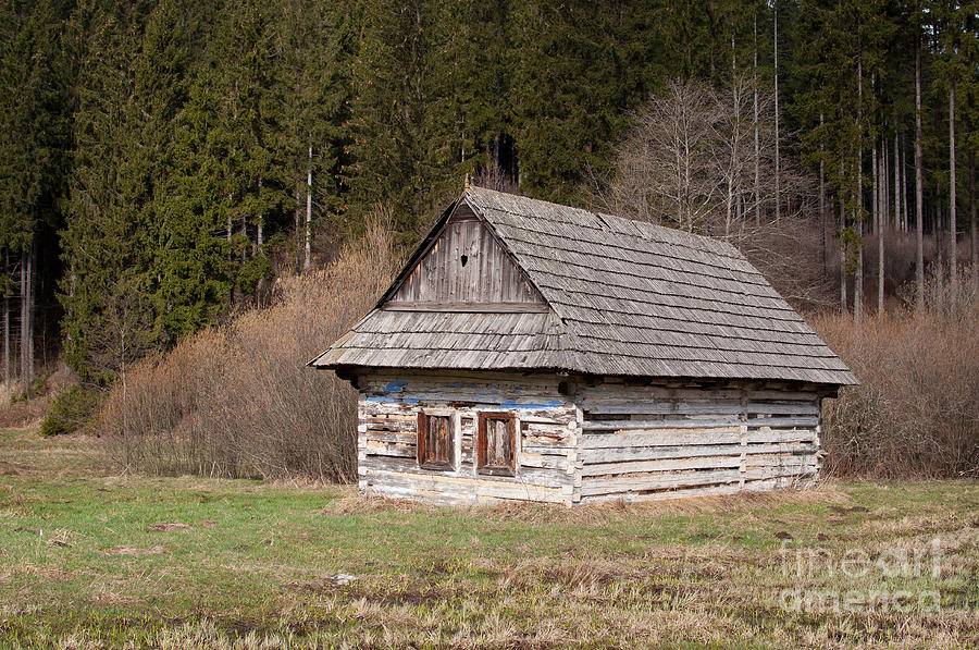 Old log house Photograph by Les Palenik
