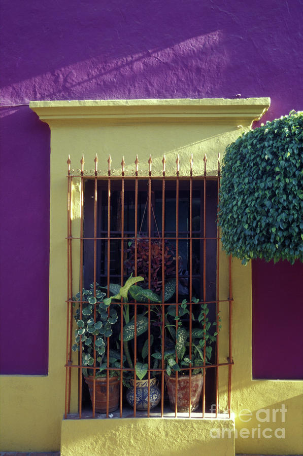 Old Mazatlan Window Photograph by John  Mitchell