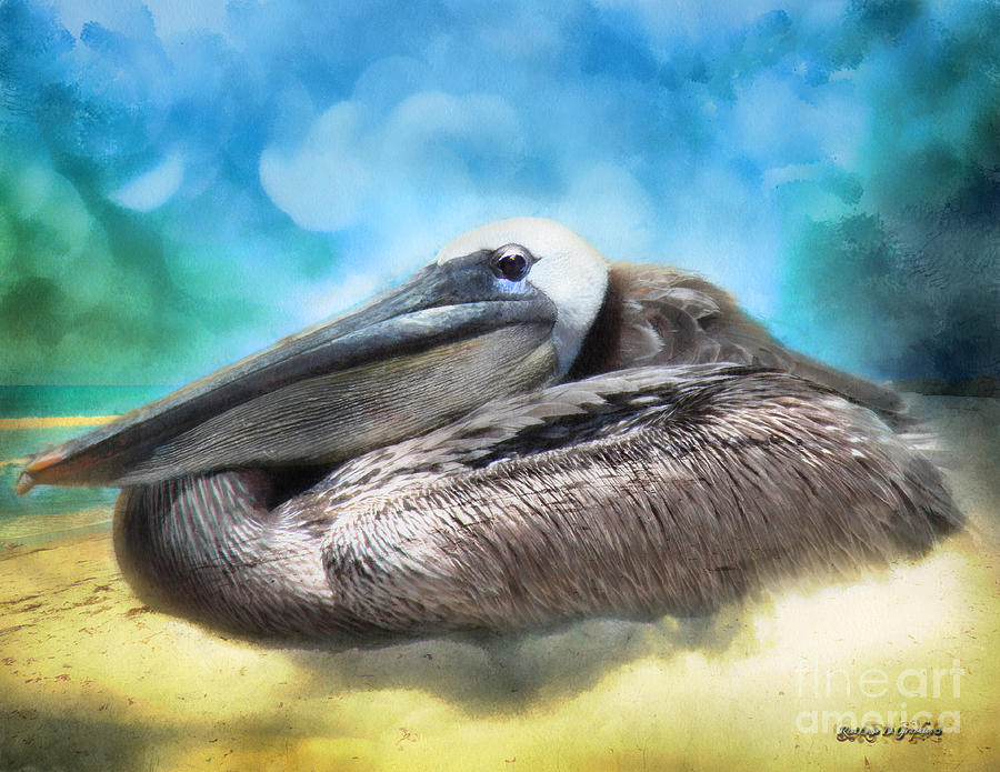 Old Mr. Pelican Digital Art by Rhonda Strickland