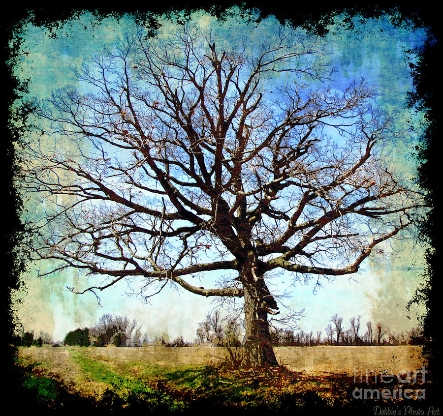 Old Oak Tree Digital Art by Debbie Portwood