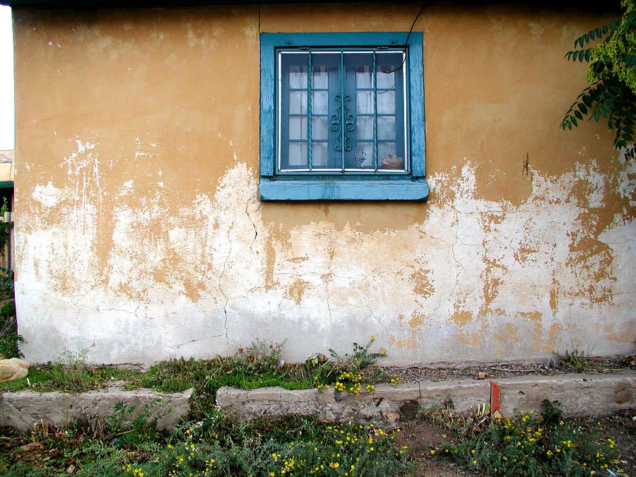 Old Paint Old Wall New Mexico Photograph by Kathleen Grace