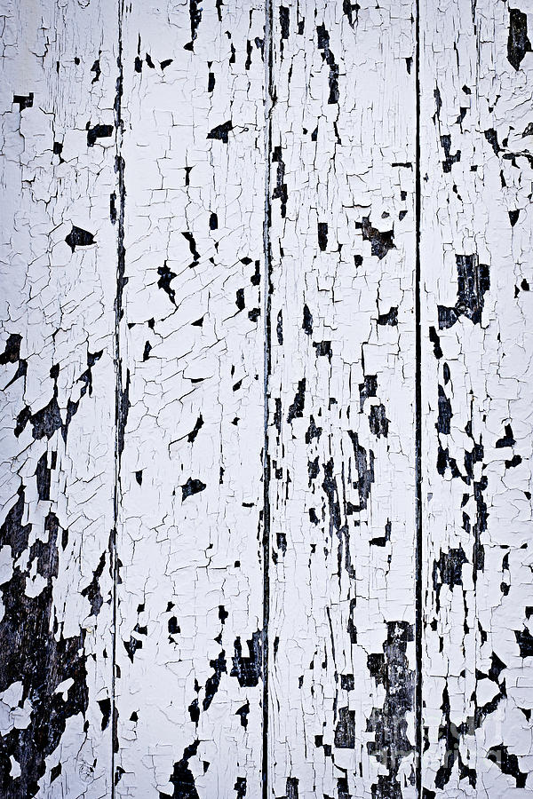 Abstract Photograph - Old painted wood abstract 2 by Elena Elisseeva