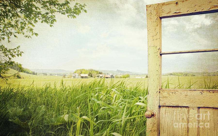 Old peeling door with rural  landscape  Photograph by Sandra Cunningham