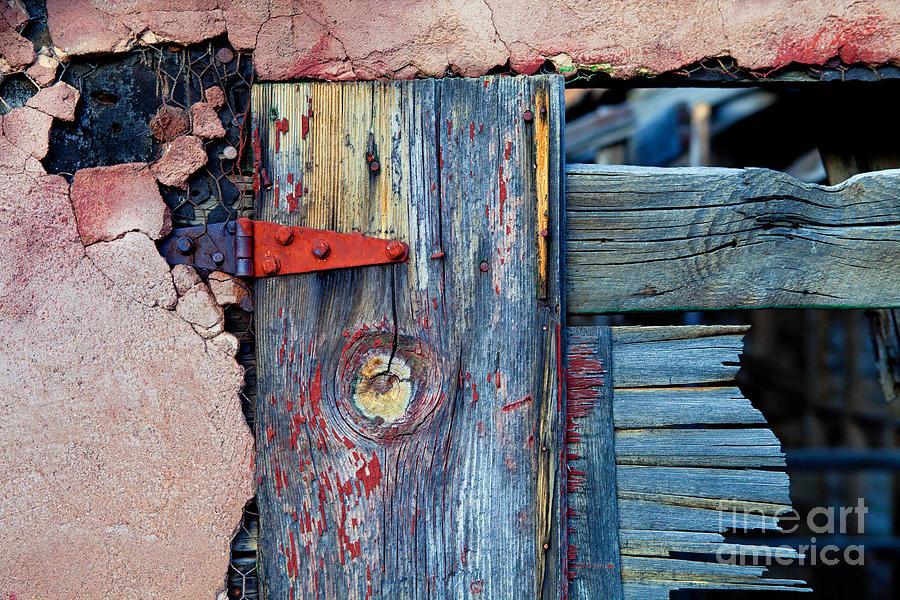 Old Pink Chicken Coop Photograph by Barbara Schultheis