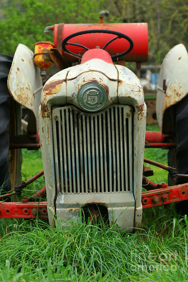Old Red And White Ford Tractor Photograph