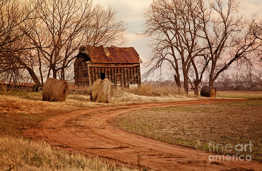 Old Red Barn in the Prarie Photograph by Iris Greenwell