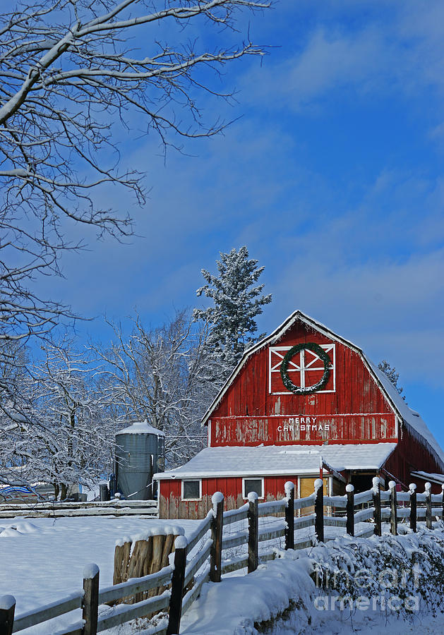 Old Red Barn-vertical Photograph by Randy Harris | Fine Art America