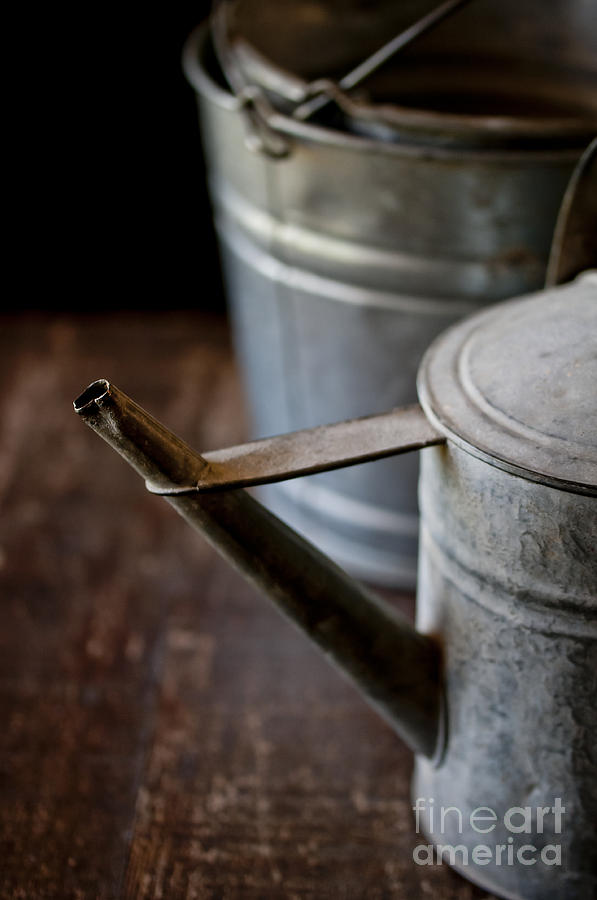 Old Rusty Watercans and Buckets Photograph by Wilma  Birdwell
