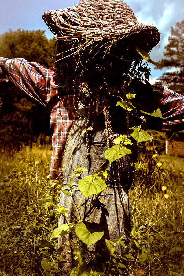 Crow Photograph - Old Scarecrow by Devin Rader