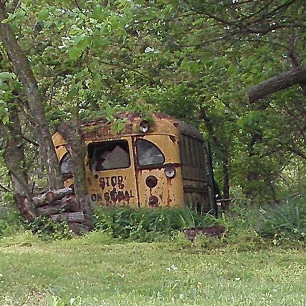 Indiana Photograph - Old School Bus by Tosha Daugherty
