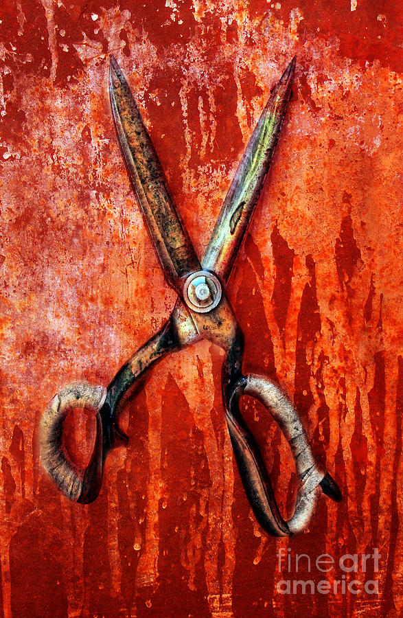Old Scissors Photograph by Jill Battaglia