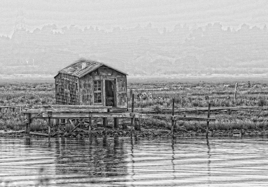 Old Shack at Woodley Island Photograph by Betty Depee