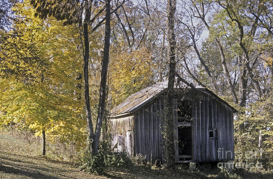 Fall Photograph - Old Shed In Fall by Richard Nickson Fall Photograph - Old Shed In Fall by Richard Nickson
