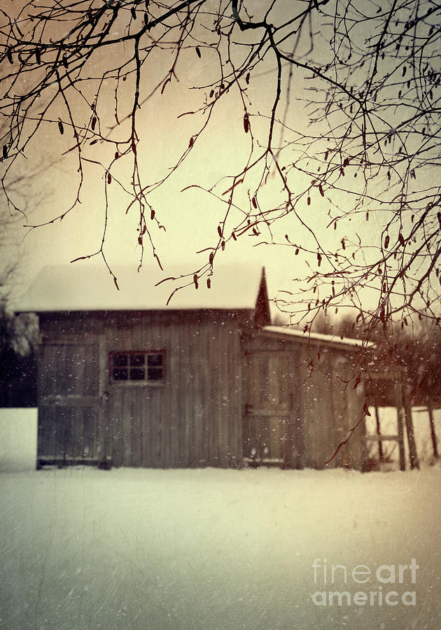 Old shed in wintertime Photograph by Sandra Cunningham
