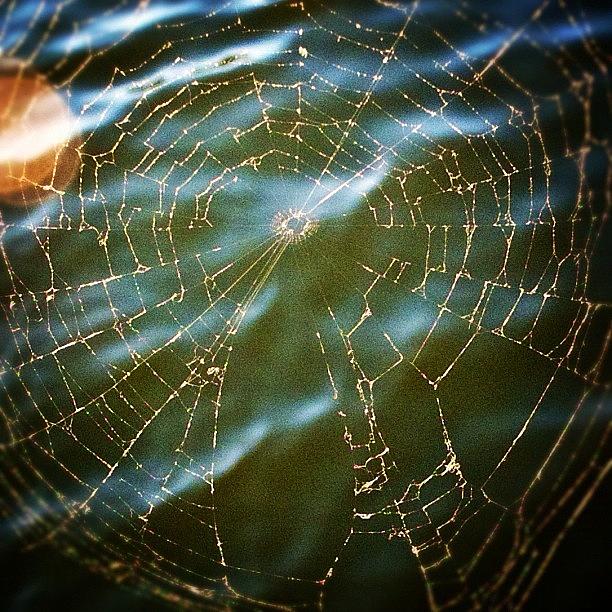 Spiderweb Photograph - Old Spider Web #spiderweb by Jeff Graham