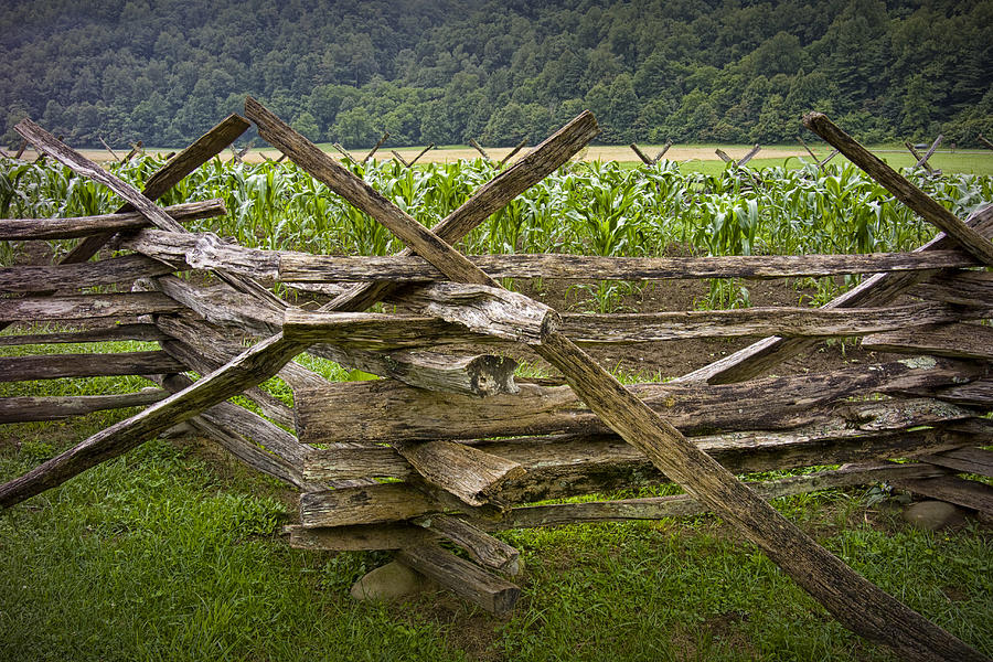 Old Split Rail Fence on a Farm in the Smoky Mountains Photograph by Randall Nyhof