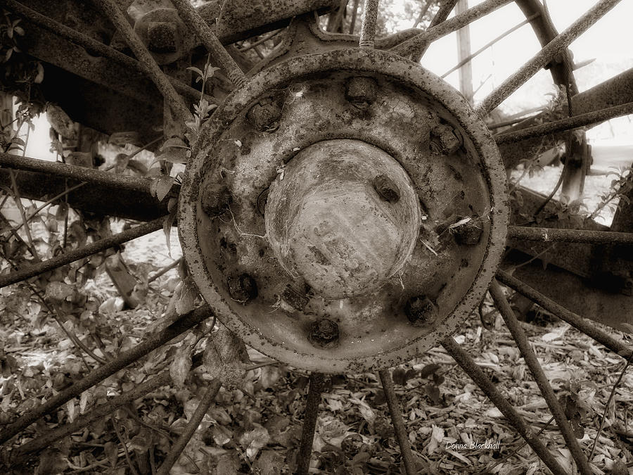 Old Spokes Home Photograph by Donna Blackhall