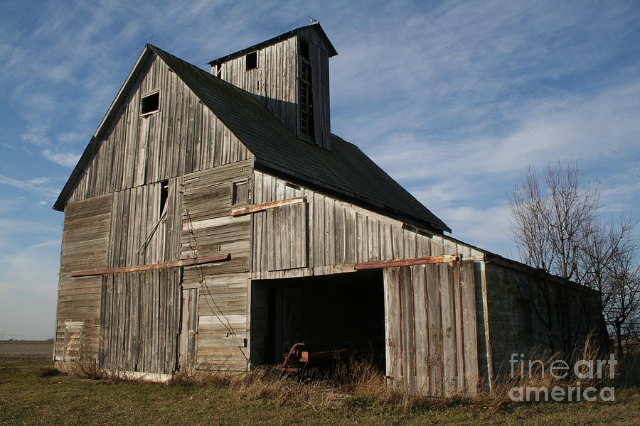 Old stands alone Photograph by Roger Look - Fine Art America