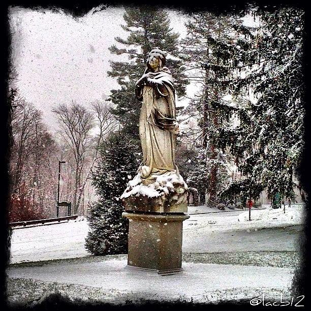 Tree Photograph - Old Statue Of Our Lady With Snow by Luis Alberto