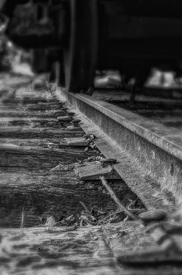 Old Steel Railroad Tracks - BW Photograph by Steve Hurt