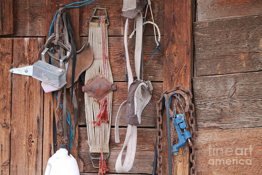 Old Tack in Color Photograph by Pamela Walrath