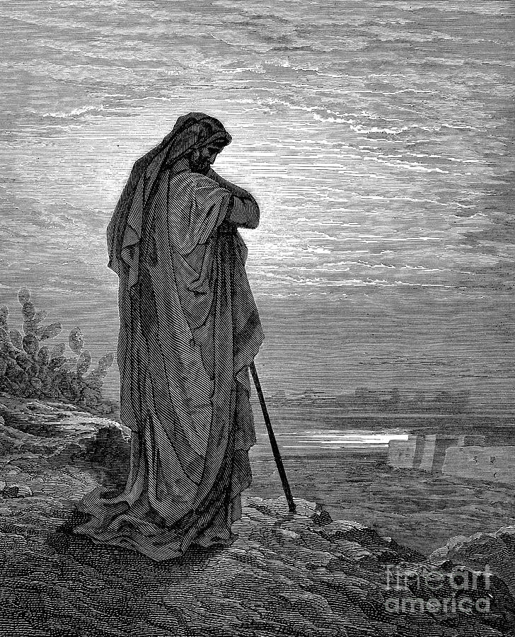 Prophet Amos Drawing by Gustave Dore | Fine Art America