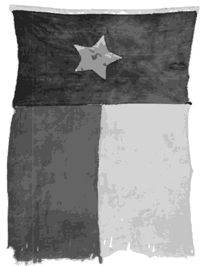 Old Texas Flag BW10 Photograph by Scott Kelley