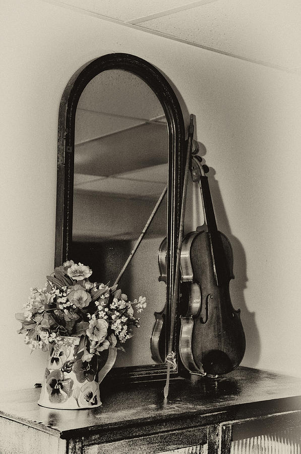 Flower Photograph - Old Time Music by Bill Cannon